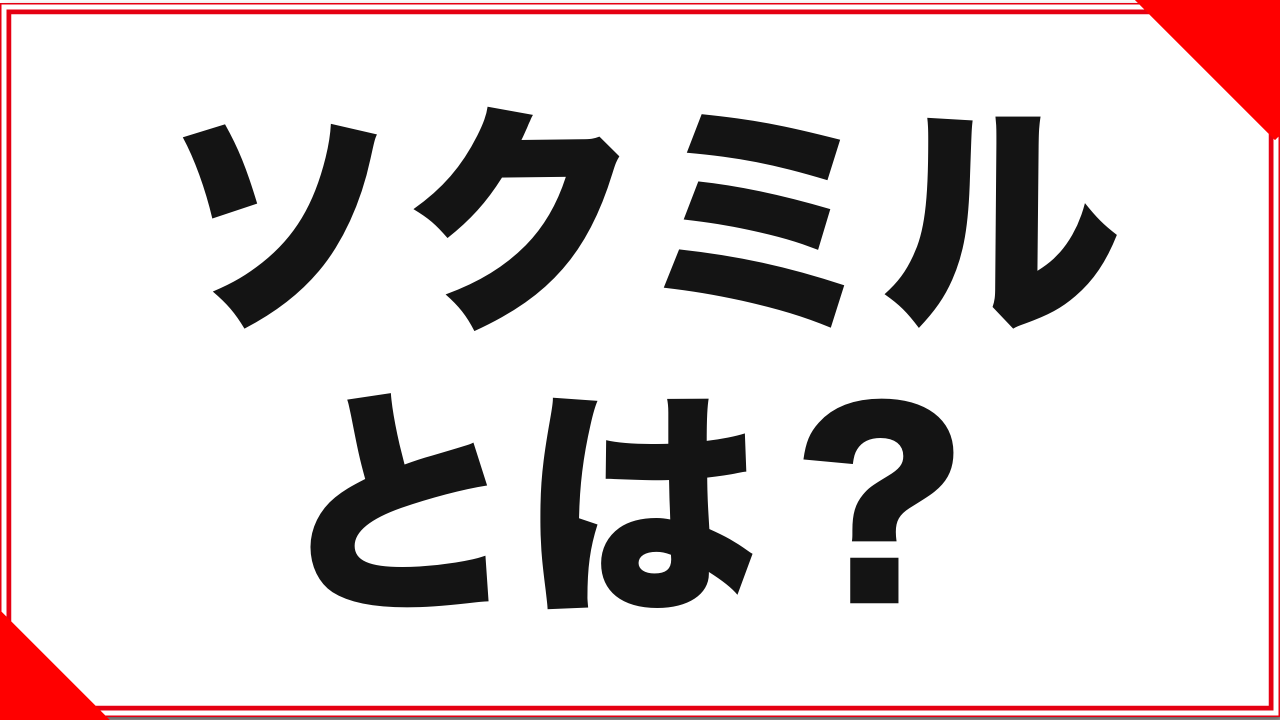 ソクミルとは？安全性・支払い方法・見放題を利用者目線で解説
